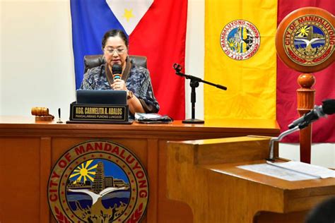 ordinance no. 730 s-2019|Mandaluyong council approves key resolutions, .